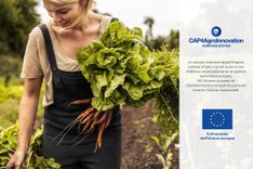 ARTICOLO - Abruzzo, il bando per i giovani agricoltori che premia le donne